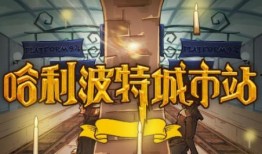 神秘大玩家视频爆料人怎么看,视频爆料人视角下的游戏世界探秘