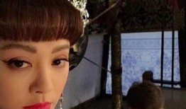 宁静爆料儿子视频大全集,揭秘星二代成长瞬间